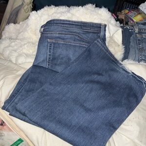 AG Adriano Goldschmied Blue Women Jeans